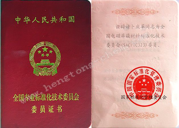 Committee for standardization WeiYuanZheng